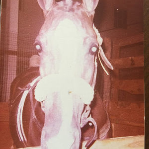 Meet your Posher, Nancy